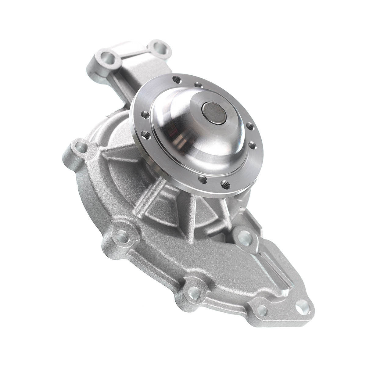 Water Pump Holden Commodore V6 VN VP VR VS VT VU VX VY 88-7/04 W Gasket 3.8L